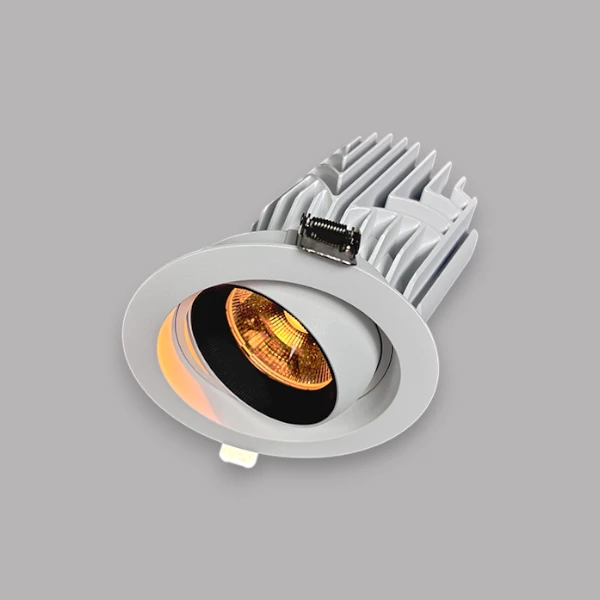 downlight recessed adjustable new design , the light hotel , smart recessed downlight Supplier | Sincerelux